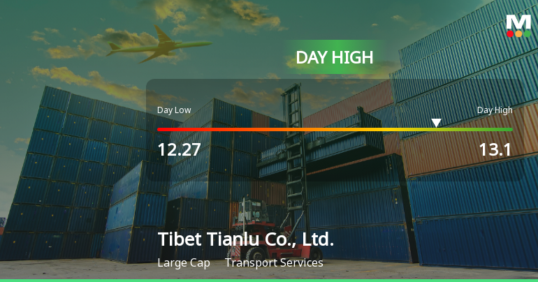 Tibet Tianlu Soars to Day High with 5.04% Intraday Surge