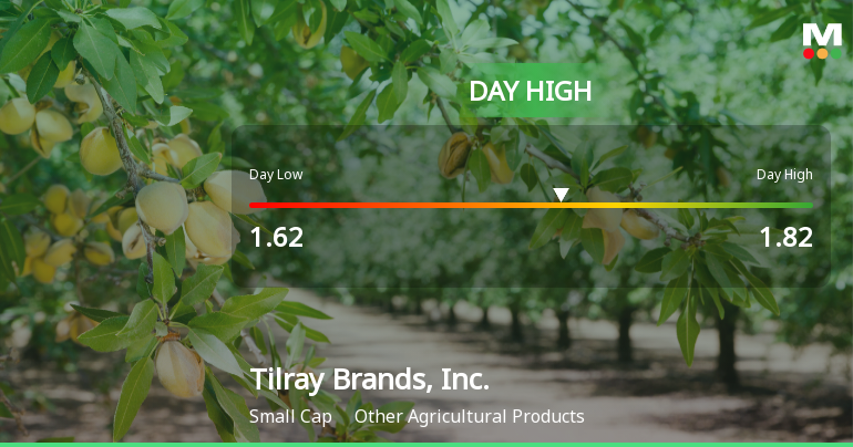 Tilray Brands Hits Day High with 45.38% Surge in Strong Intraday Performance