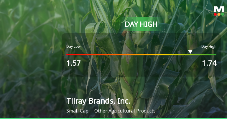 Tilray Brands Hits Day High with Strong 8.23% Intraday Surge