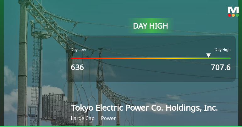 Tokyo Electric Power Co. Hits Day High with 8.46% Surge