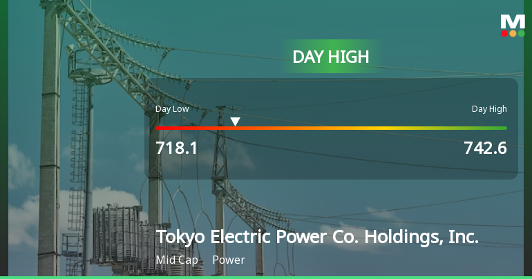Tokyo Electric Power Co. Hits Day High with 12.52% Surge