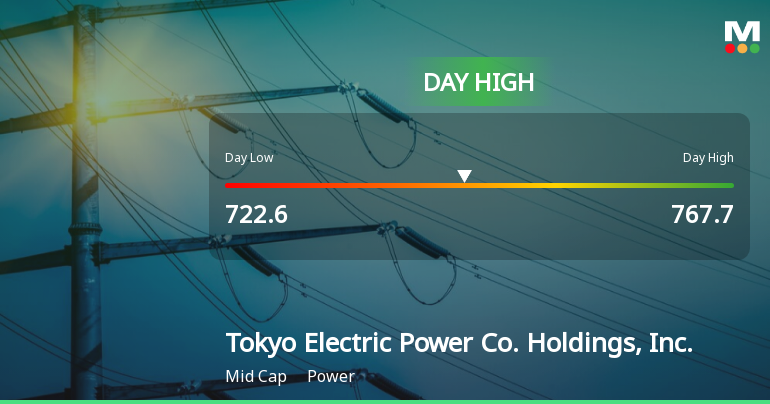 Tokyo Electric Power Co. Hits Day High with 6.62% Surge