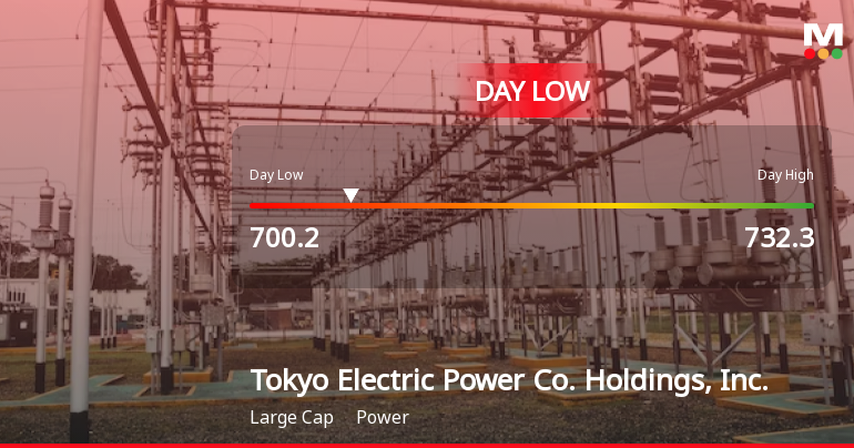 Tokyo Electric Power Co. Hits Day Low Amid Price Pressure, Closing at JPY 700.20