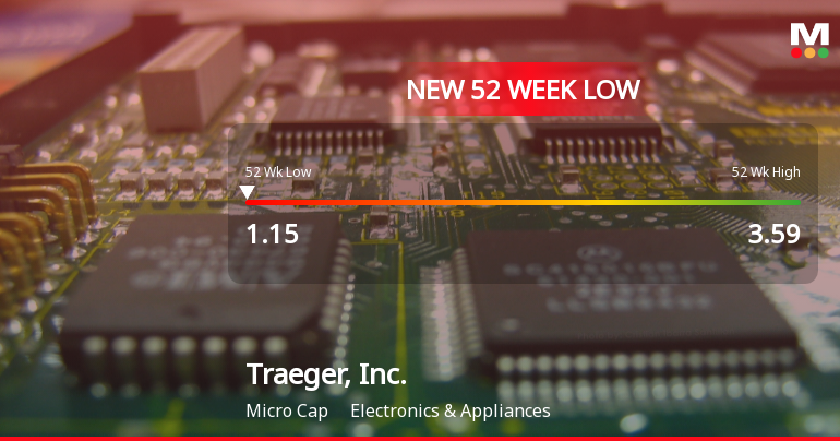 Traeger, Inc. Stock Plummets to New 52-Week Low of $1.15
