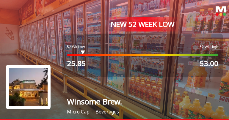 Winsome Breweries Stock Plummets to New 52-Week Low at Rs. 25.85