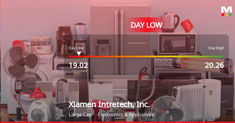 Xiamen Intretech Stock Hits Day Low of CNY 19.02 Amid Price Pressure
