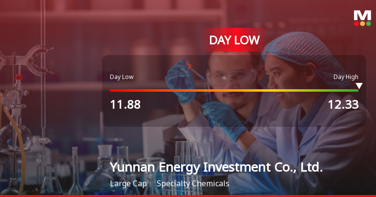 Yunnan Energy Investment Hits Day Low Amid Price Pressure, Shares at CNY 11.88