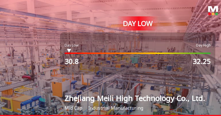 Zhejiang Meili Stock Hits Day Low of CNY 30.80 Amid Price Pressure