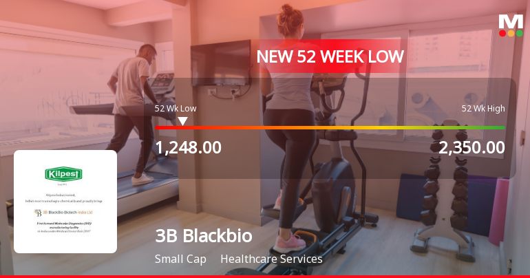 3B Blackbio DX Hits New 52-Week Low at Rs. 1248 Amid Market Struggles