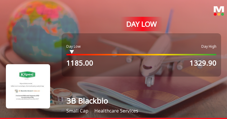 3B Blackbio DX Hits Intraday Low Amid Price Pressure and Market Volatility