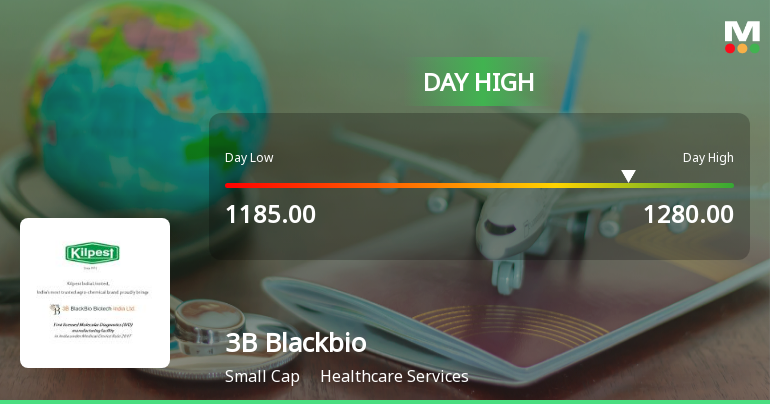 3B Blackbio DX Hits Intraday High with Strong Surge in Healthcare Services Sector