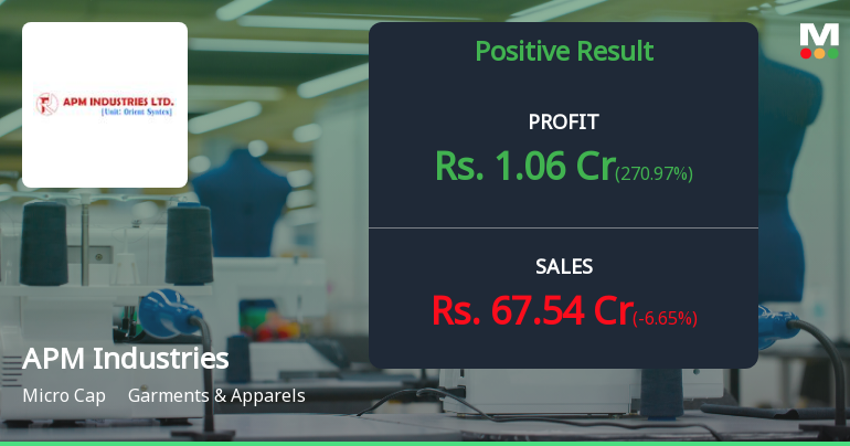 APM Industries Q2 FY26: Profitability Returns But Revenue Contraction Raises Concerns