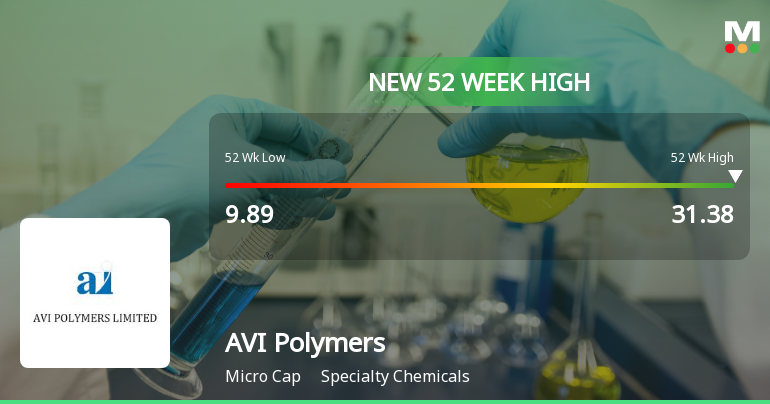 AVI Polymers Hits New 52-Week High of Rs.31.38, Marking Strong Momentum