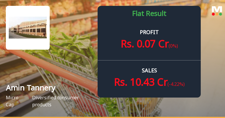 Amin Tannery Q2 FY26: Marginal Growth Masks Persistent Profitability Concerns