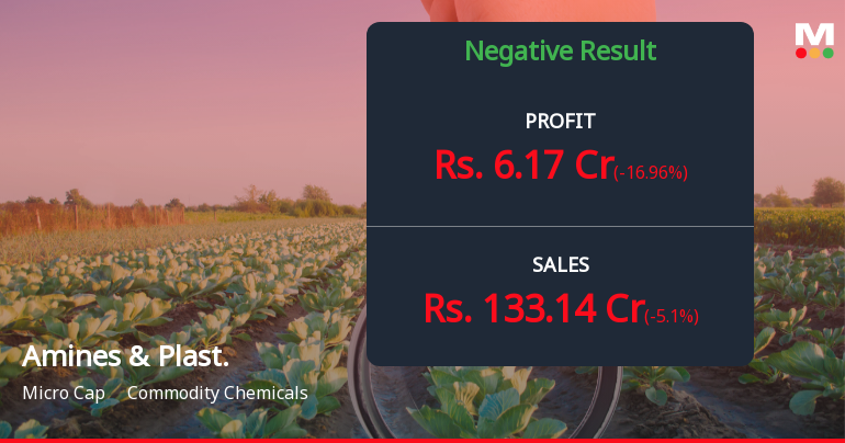 Amines & Plasticizers Q2 FY26: Margin Pressures Mount as Profitability Weakens
