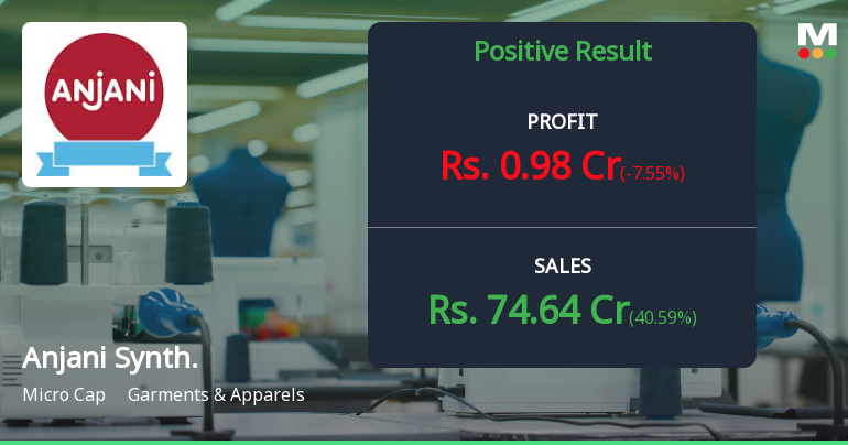 Anjani Synthetics Q2 FY26: Strong Revenue Growth Masks Deeper Concerns