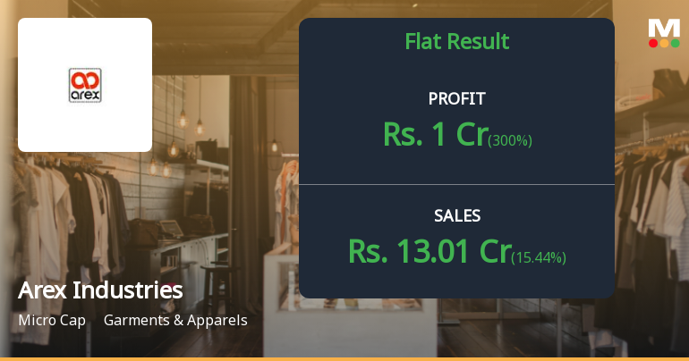 Arex Industries Q2 FY26: Profit Surge Masks Underlying Margin Volatility and Structural Concerns