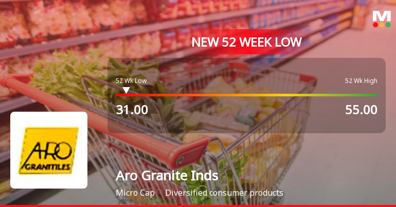 Aro Granite Industries Stock Falls to 52-Week Low of Rs.31.25