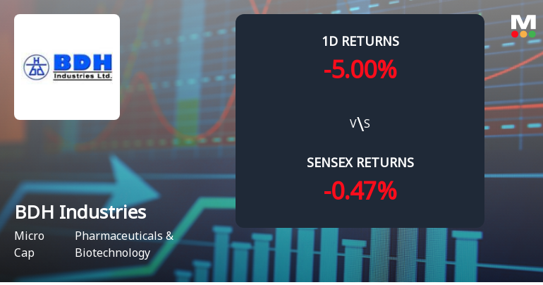 BDH Industries Faces Selling Pressure with 5% Decline, Marking Third Consecutive Day of Losses