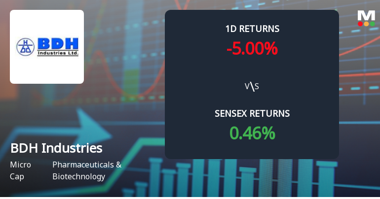 BDH Industries Ltd Faces Selling Pressure with 5% Decline Amid Four-Day Loss Streak