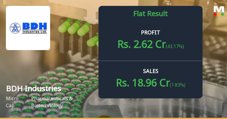 BDH Industries Q2 FY26: Revenue Decline Raises Concerns Despite Strong Historical Performance