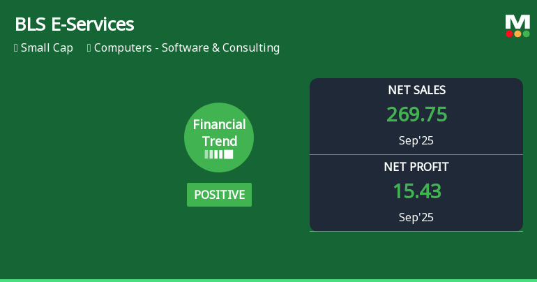 BLS E-Services Reports Strong Sales Amidst Declining Overall Performance Metrics