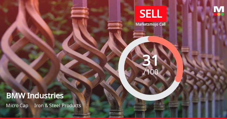 BMW Industries Faces Financial Challenges Amidst Declining Sales and Profit Metrics