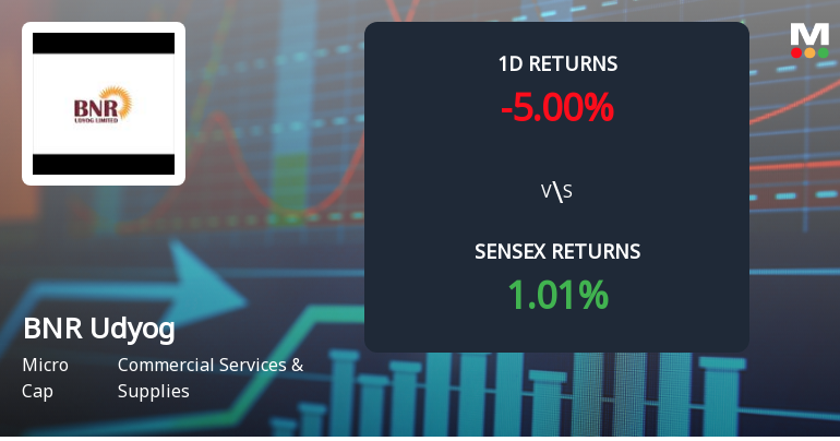 BNR Udyog Faces Intense Selling Pressure Amid Consecutive Losses