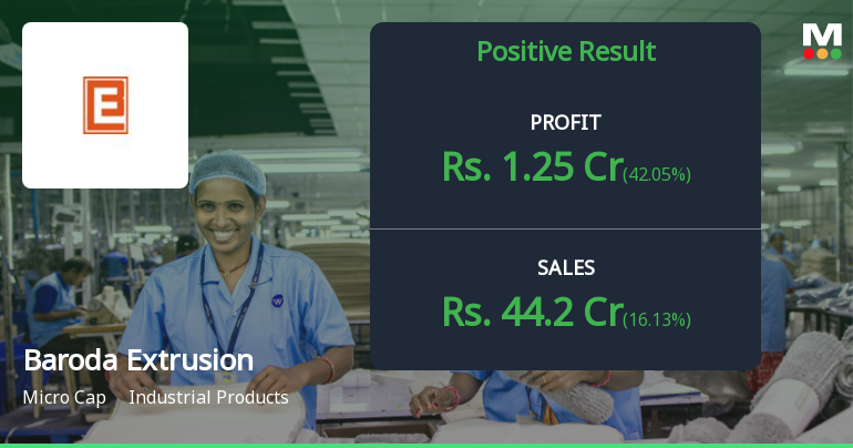 Baroda Extrusion Q2 FY26: Profit Surge Masks Margin Pressures and Structural Concerns