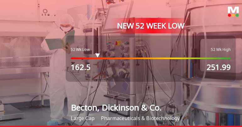 Becton, Dickinson & Co. Hits New 52-Week Low at $162.50
