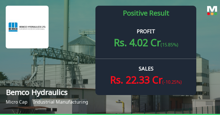 Bemco Hydraulics Q2 FY26: Profit Surge Masks Revenue Decline Concerns