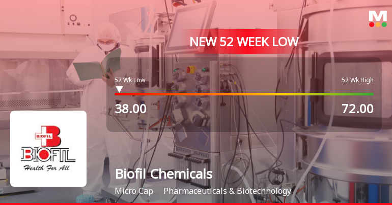 Biofil Chemicals Hits 52-Week Low as Stock Plummets to Rs 38