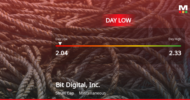 Bit Digital Stock Hits Day Low of $2.04 Amid Price Pressure