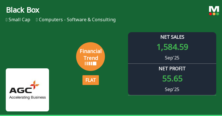 Black Box Reports Stable Performance Amid Rising Interest Expenses and Cash Flow Challenges