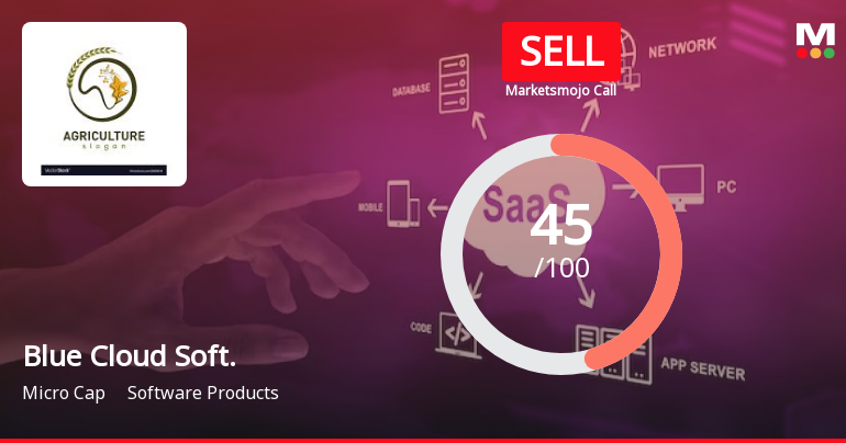 Blue Cloud Soft. Sees Revision in Market Assessment Amidst Challenging Returns