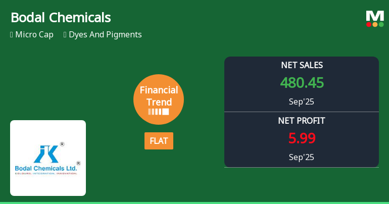 Bodal Chemicals Reports Mixed Financial Performance Amidst Competitive Market Challenges