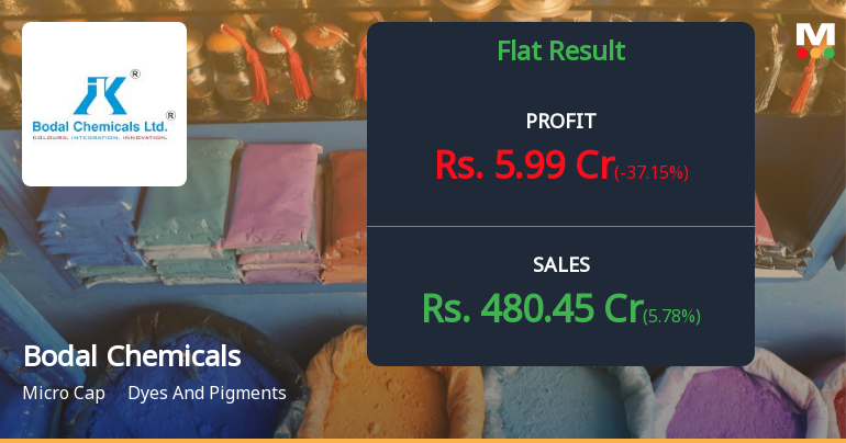 Bodal Chemicals Q2 FY26: Profit Recovery Masks Margin Erosion Amid Elevated Other Income