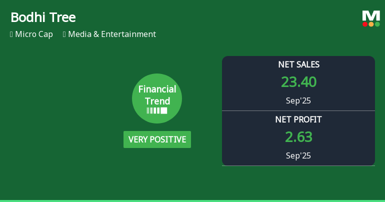 Bodhi Tree Multimedia Reports Strong Growth Amidst Competitive Market Challenges