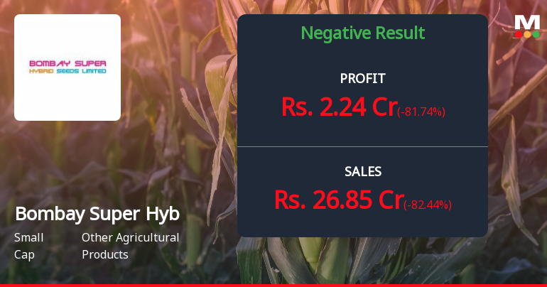 Bombay Super Hybrid Seeds Q2 FY26: Seasonal Slump Masks Underlying Strength