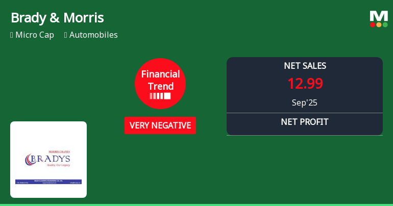 Brady & Morris Engineering Faces Financial Challenges Amid Declining Performance Metrics