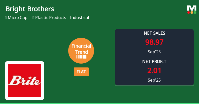 Bright Brothers Faces Financial Challenges Amidst Growth in Sales and Profitability