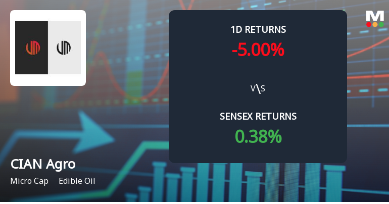 CIAN Agro Industries & Infrastructure Faces Intense Selling Pressure Amid Lower Circuit