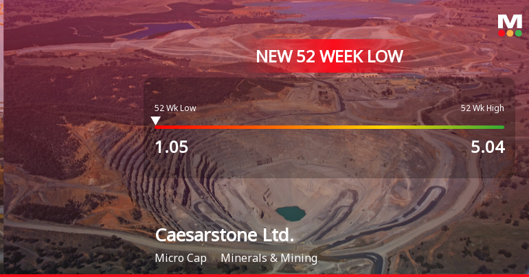 Caesarstone Ltd. Hits New 52-Week Low at USD 1.05 Amid Decline