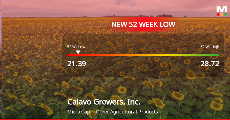 Calavo Growers Hits 52-Week Low at $21.39 Amidst Market Struggles