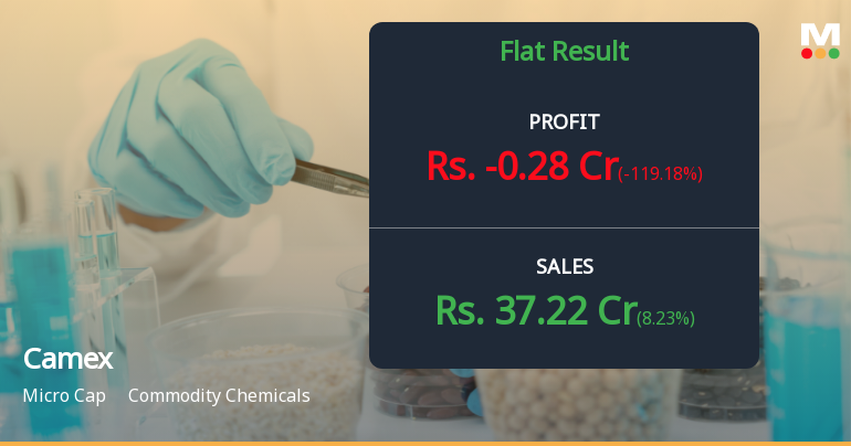 Camex Ltd Q2 FY26: Losses Deepen as Revenue Declines Continue
