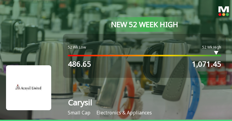 Carysil Hits New 52-Week High of Rs. 1071.45, Outperforming Sector