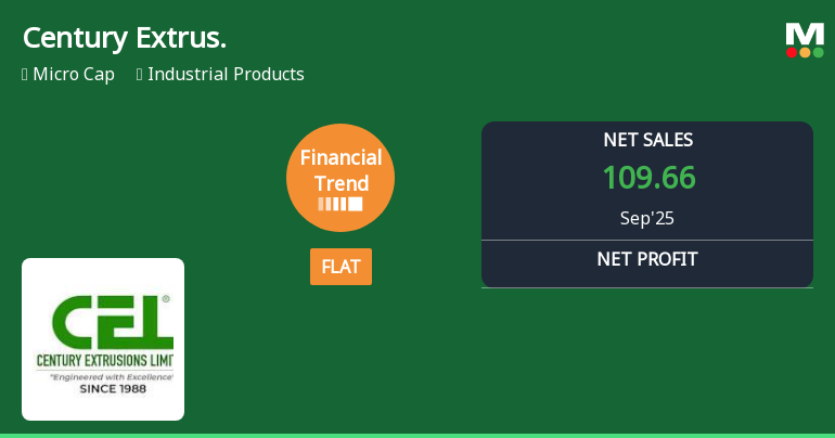 Century Extrusions Faces Financial Adjustments Amid Strong Operational Metrics and Market Resilience