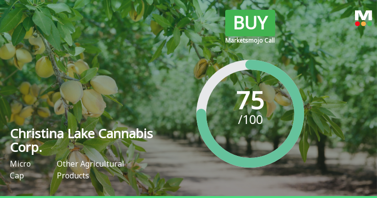 Christina Lake Cannabis Corp. Adjusts Valuation Amidst Financial Metric Reassessment