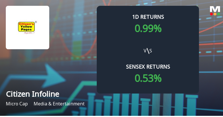 Citizen Infoline Ltd Hits All-Time High of Rs. 307, Surges 1242.96% Year-to-Date