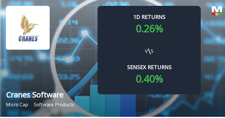 Cranes Software International Sees Unprecedented Buying Interest Amid Upper Circuit Lock
